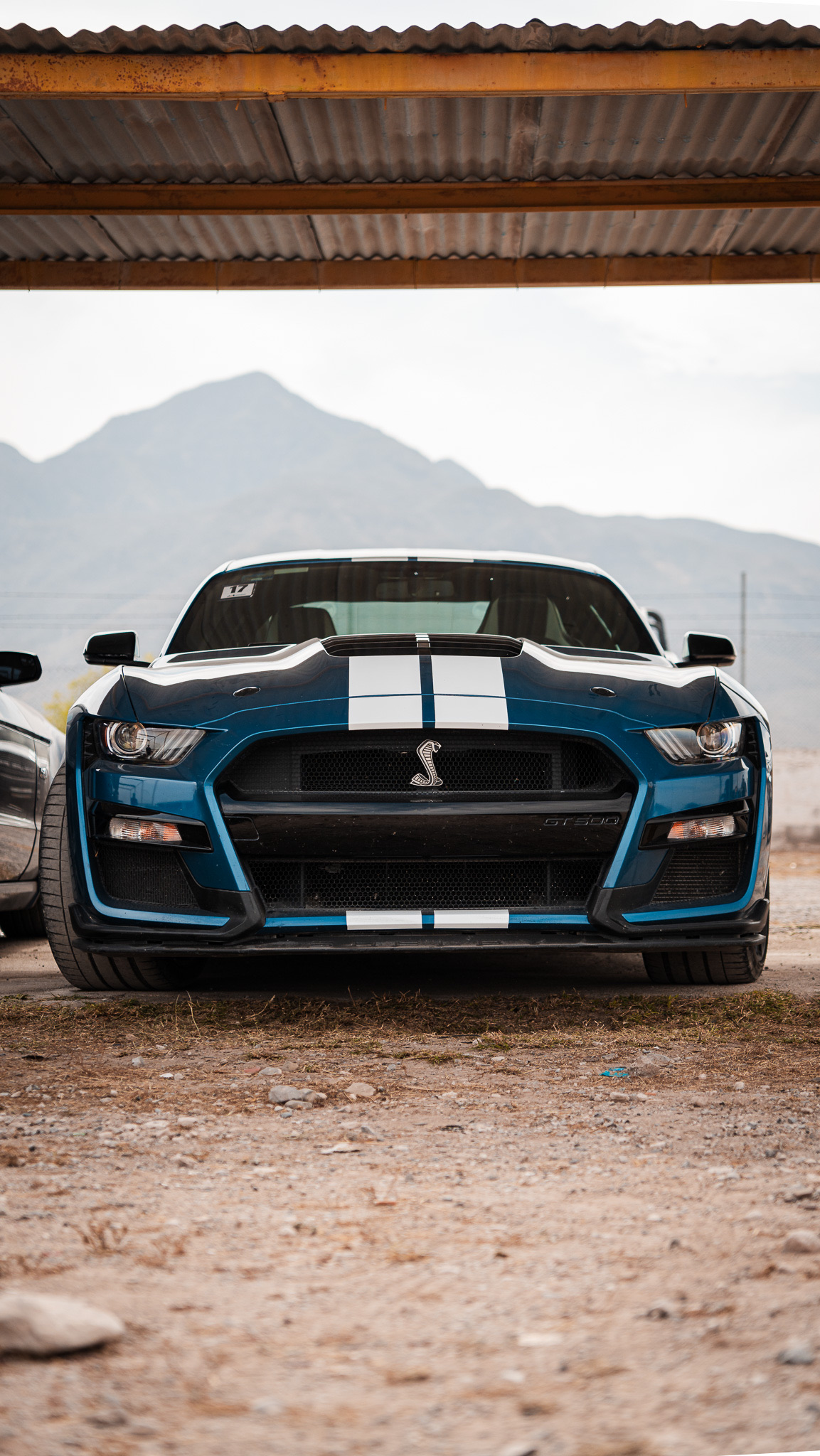 Shelby GT500